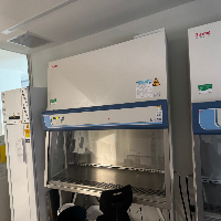 Thermo Safe 2020 6' BioSafety Cabinet image 0